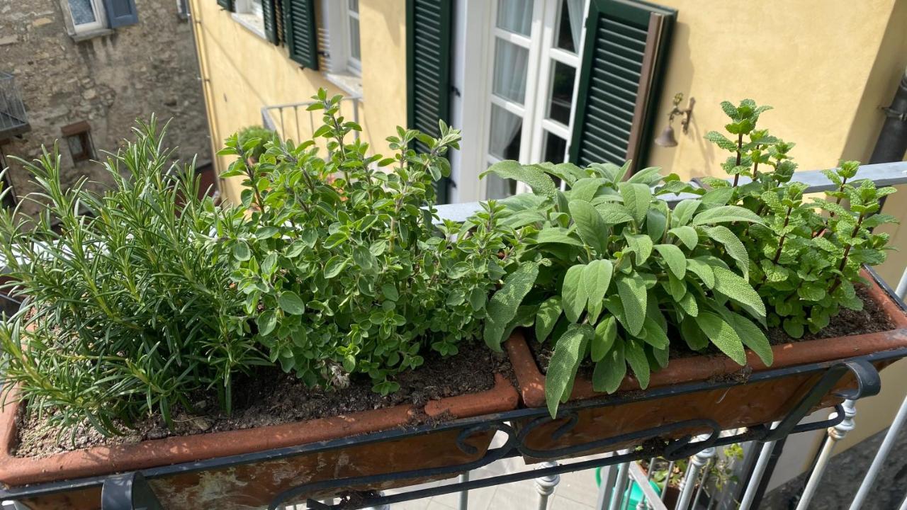 Il Mulino Di Aurora *