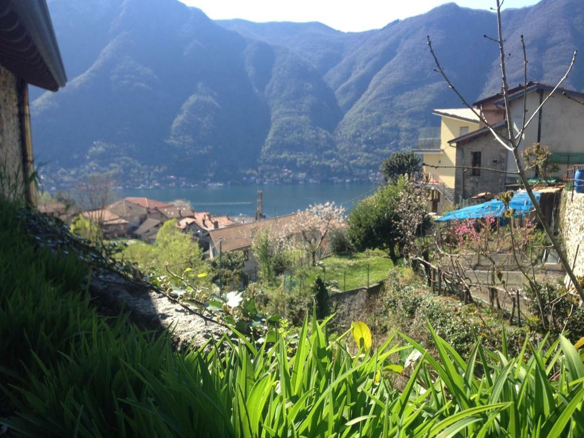 Apartment Il Mulino Di Aurora