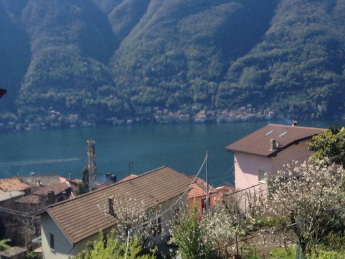 Il Mulino Di Aurora Apartment